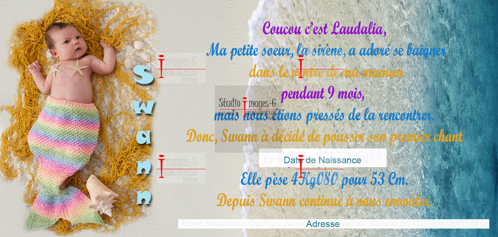 swann 3OK TIRAGE.jpg